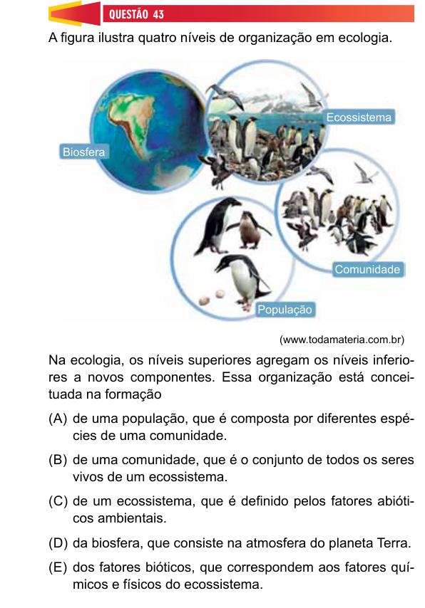 Figura da Questão 43
