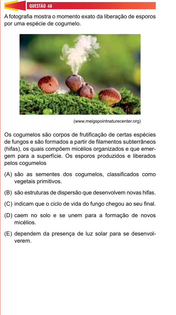 Figura da Questão 48
